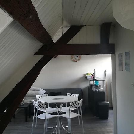 Appartement Spacieux Vue Sur Loire Proche Du Centre Blois Luaran gambar