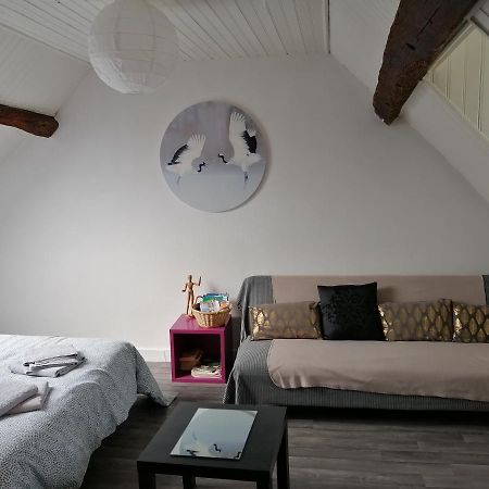 Appartement Spacieux Vue Sur Loire Proche Du Centre Blois Luaran gambar