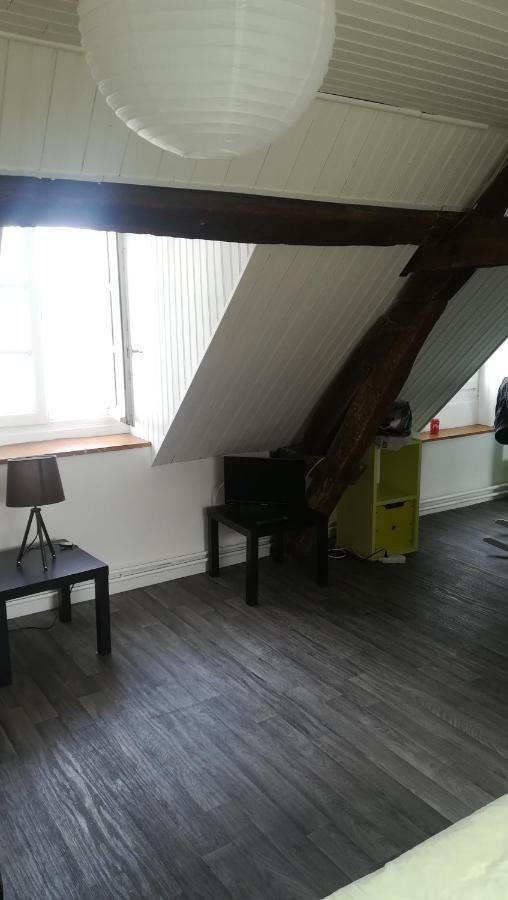 Appartement Spacieux Vue Sur Loire Proche Du Centre Blois Luaran gambar