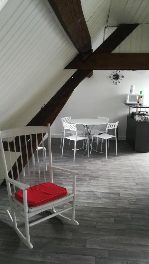 Appartement Spacieux Vue Sur Loire Proche Du Centre Blois Luaran gambar