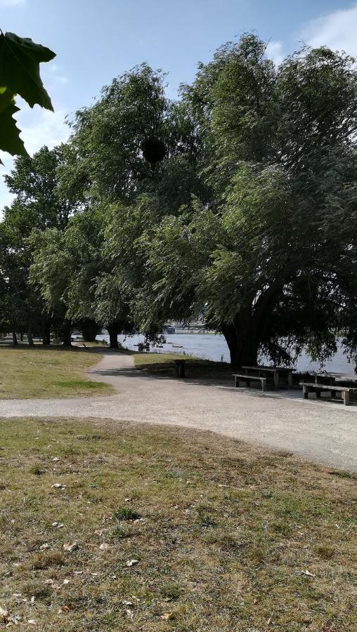 Appartement Spacieux Vue Sur Loire Proche Du Centre Blois Luaran gambar