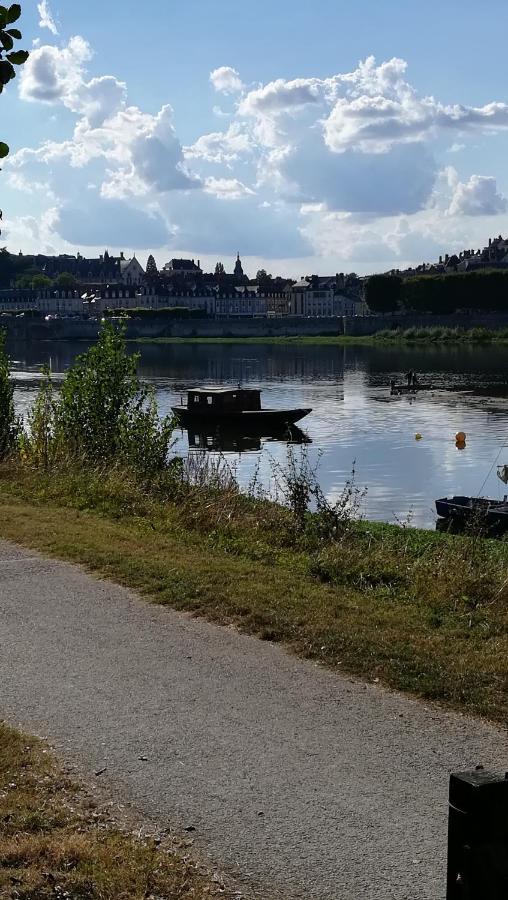 Appartement Spacieux Vue Sur Loire Proche Du Centre Blois Luaran gambar