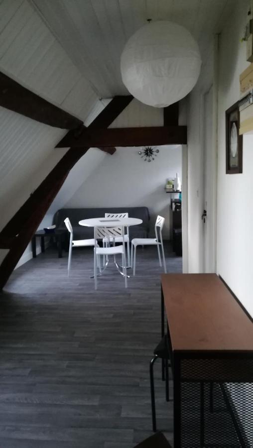 Appartement Spacieux Vue Sur Loire Proche Du Centre Blois Luaran gambar
