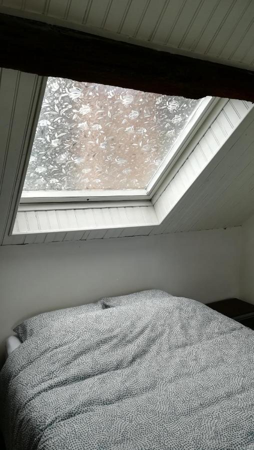 Appartement Spacieux Vue Sur Loire Proche Du Centre Blois Luaran gambar