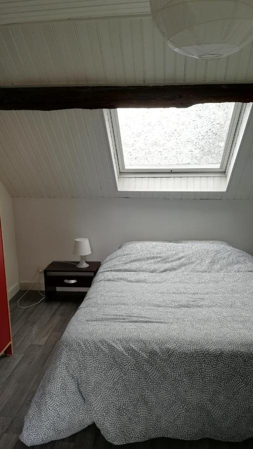 Appartement Spacieux Vue Sur Loire Proche Du Centre Blois Luaran gambar