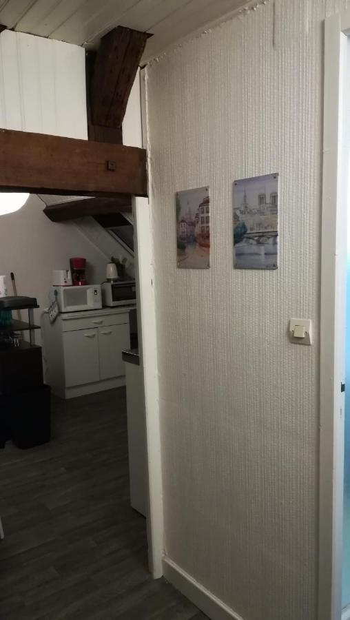 Appartement Spacieux Vue Sur Loire Proche Du Centre Blois Luaran gambar