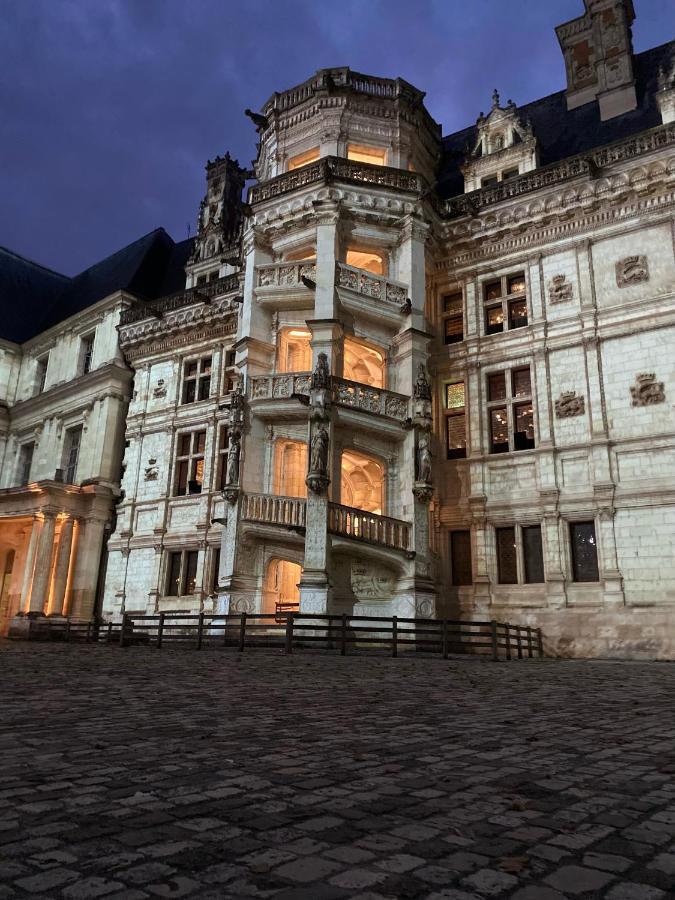 Appartement Spacieux Vue Sur Loire Proche Du Centre Blois Luaran gambar