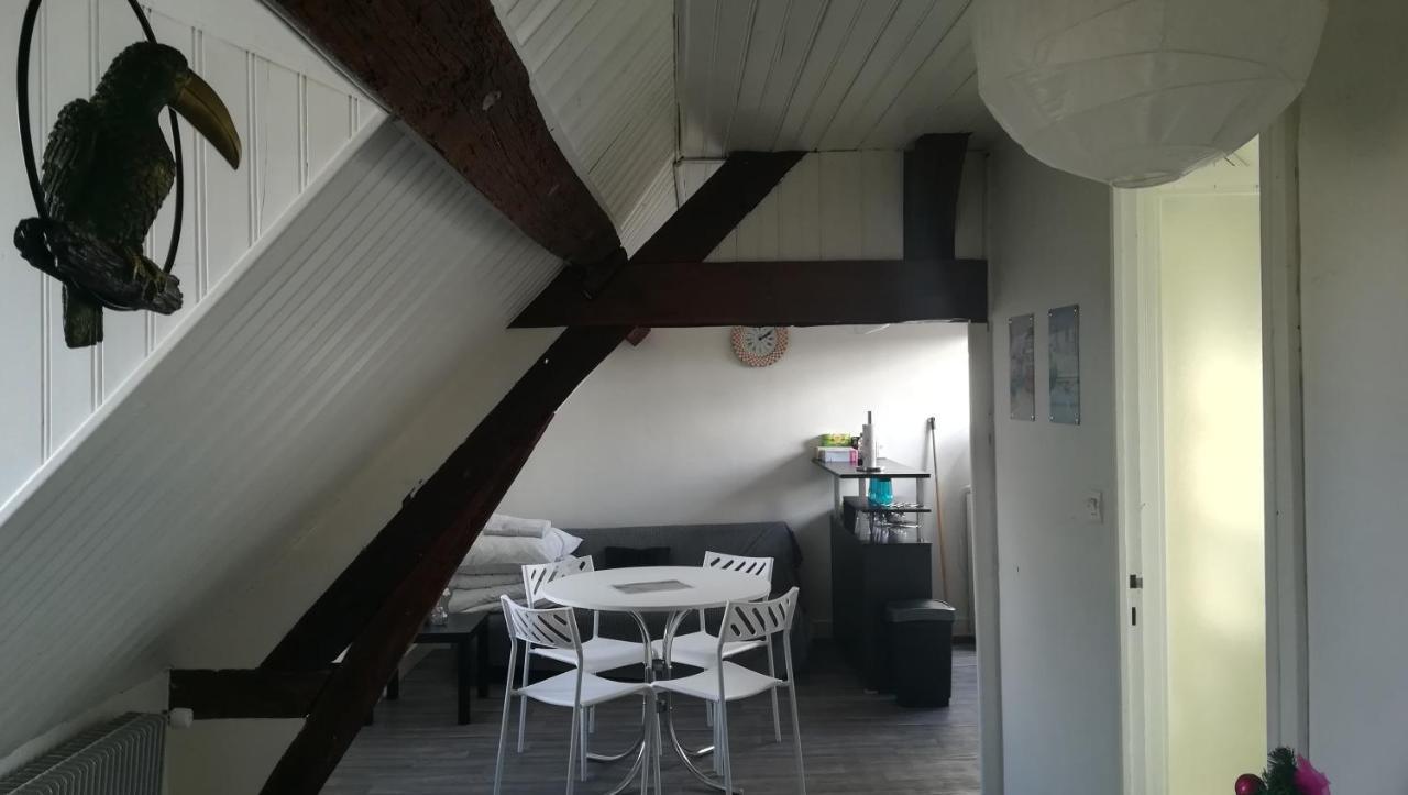 Appartement Spacieux Vue Sur Loire Proche Du Centre Blois Luaran gambar