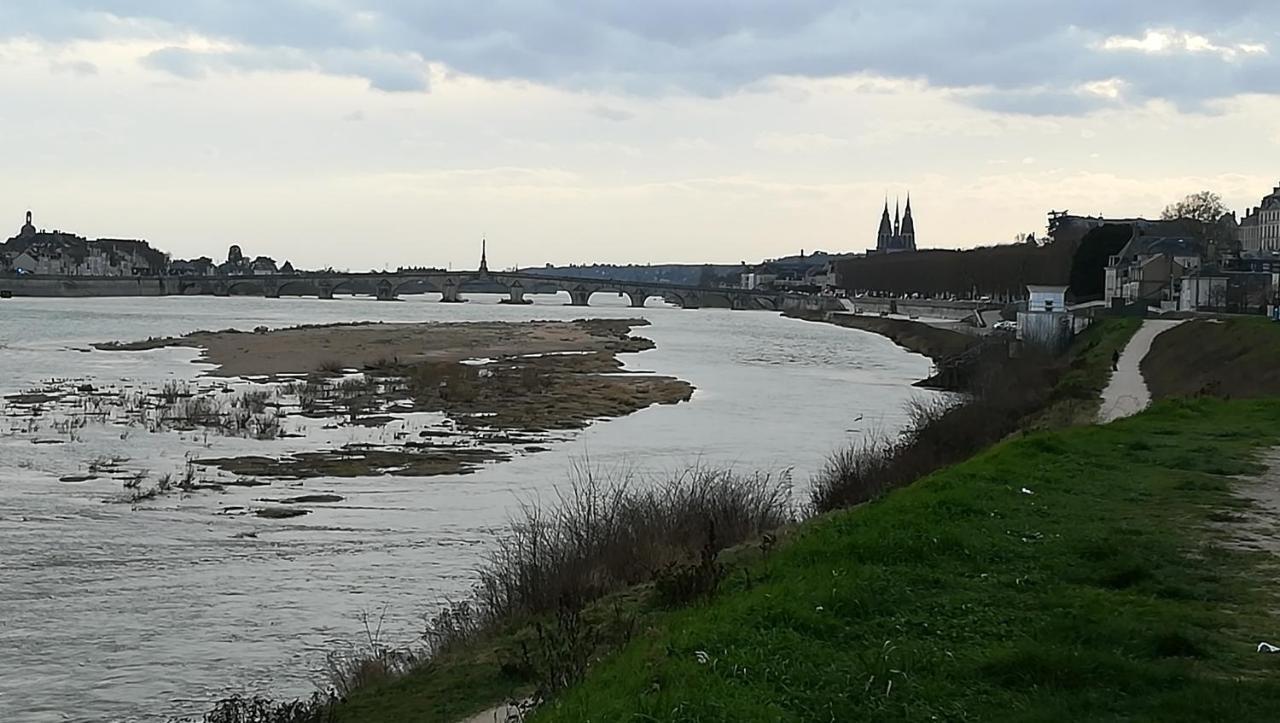 Appartement Spacieux Vue Sur Loire Proche Du Centre Blois Luaran gambar