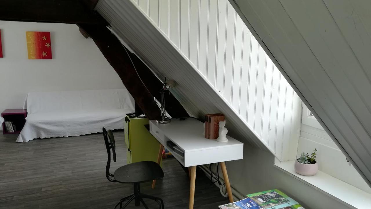 Appartement Spacieux Vue Sur Loire Proche Du Centre Blois Luaran gambar